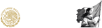 Embajada de Mexico en italia logo